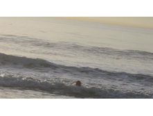 ���������� �������