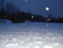 22.01.2009 22:33:26