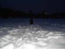 22.01.2009 22:34:40