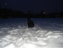 22.01.2009 22:34:54