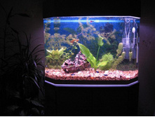 ������� ������