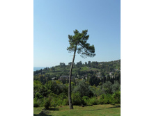 ������� 2012.09.15 14.05.50.JPG