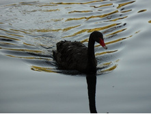 ������� 2012.09.17 17.37.54.JPG