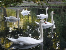 ������� 2012.09.17 17.49.10.JPG