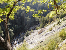 ������� 2012.09.19 15.03.40.JPG