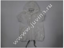 image194.png