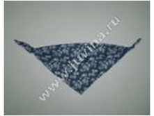 image197.png