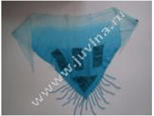 image300.png