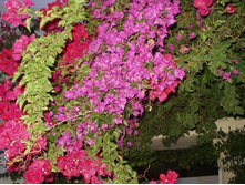 ��������� ������:)