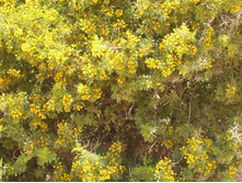 ��������� ������