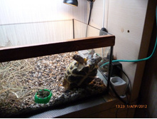 �������� ����