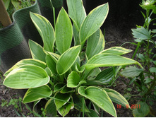 ����������� 022.jpg