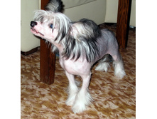 ����������)