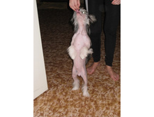 ���������� �.2))