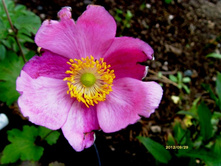 ������� ��������� .JPG