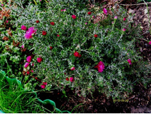 ����� ������.JPG