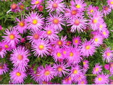 ����� ������ ������� ������.JPG