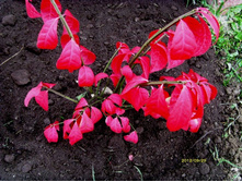 ��������� �������� ���������.JPG