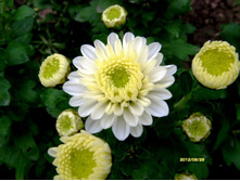 ���������� ����� ������.JPG