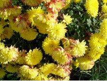 ���������� ������.JPG