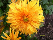 ���������� �������� ������.JPG