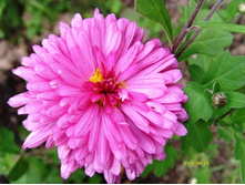 ���������� ������� ������.JPG