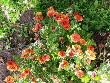 ���������� �����.JPG