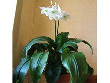 ������� � �����