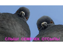 26.01.2009 22:30:09