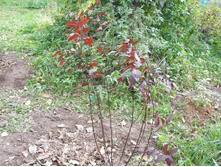  �����  �������������\"��������\"