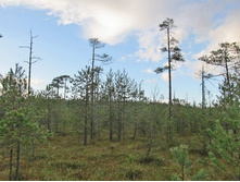 �� ���������� ������