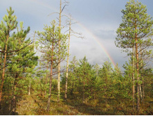 ������ �� ������