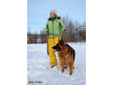 ������ �����