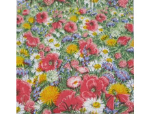 ��������� ������