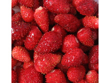 ��������� �����.jpeg