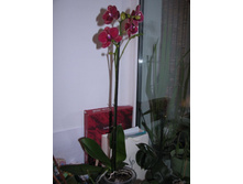 ����ޣ�... � ����� ����� ������ ���������� ��� �� ���� � ������ �������� :)