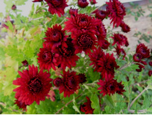 ���������� �����.JPG