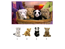 ���� ������ 