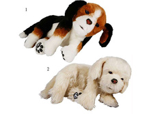 ������ ������� ������ �������