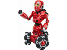 ���� ����� ������� 