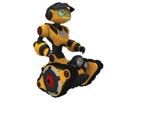 ���� ��������� 