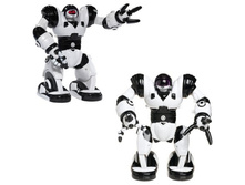 ���� ����� (����������) 