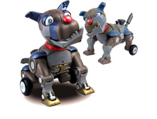 ���� ����� ������� 