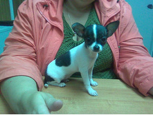 ����������� 002.jpg