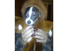 ����������� 017.jpg