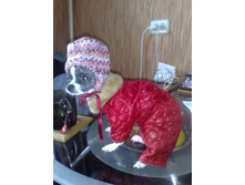 ����������� 025.jpg