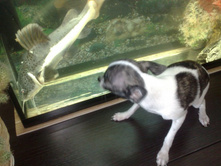 ����������� 057.jpg