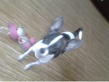 ����������� 058.jpg