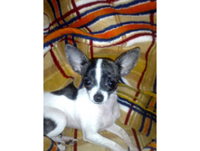 ����������� 087.jpg