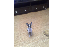 ����������� 103.jpg